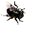  (73x73, 7Kb)