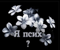 (120x100, 8Kb)