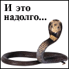  (100x100, 3Kb)