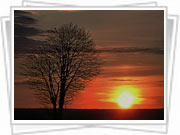www.pokaza.net
