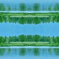  (200x200, 5Kb)