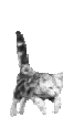 (57x106, 5Kb)