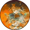  (100x100, 49Kb)