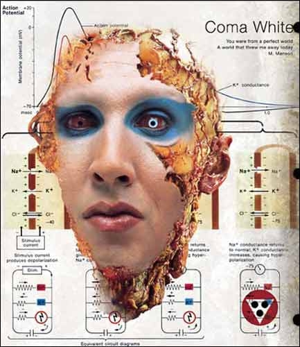 Marilyn manson mechanical animals full album torrent