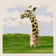 1085 (110x110, 35Kb)