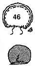  (72x138, 8Kb)