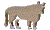  (50x30, 4Kb)