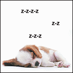 20083533_1 (150x150, 16Kb)