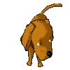  (100x100, 10Kb)
