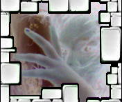  (176x148, 7Kb)