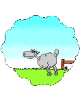  (120x160, 9Kb)