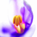  (128x128, 14Kb)