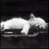 gallery_41448_30_900 (100x100, 5Kb)
