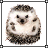  (100x100, 5Kb)