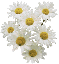  (59x64, 1Kb)