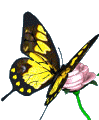 973cece09ad5 (99x120, 16Kb)