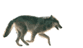  (120x70, 19Kb)