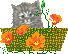  (68x54, 2Kb)