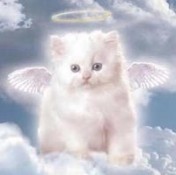  (176x175, 7Kb)