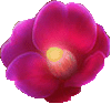  (100x94, 6Kb)