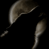  (100x100, 5Kb)