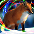  (120x120, 22Kb)