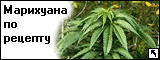  (160x60, 4Kb)
