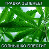  (98x98, 22Kb)