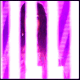  (80x80, 101Kb)