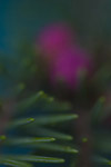  (100x150, 16Kb)