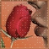 (100x100, 23Kb)