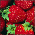 a59d25846511 (120x120, 61Kb)