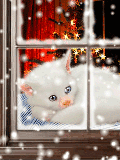 bc4b96c79bc728b189362cc626f54130 (120x160, 64Kb)