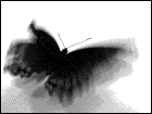 1187080391_889823_1745420 (140x105, 89Kb)