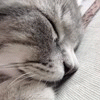1b29467278a3751caa5db4c3507d7012 (100x100, 10Kb)