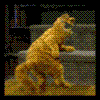  (100x100, 22Kb)
