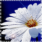  (150x150, 29Kb)