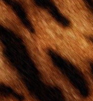  (183x199, 14Kb)