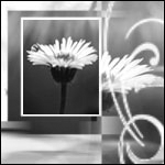  (150x150, 26Kb)