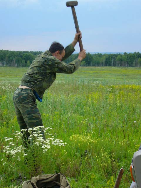 Началось в колхозе утро картинки