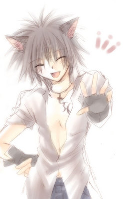 http://img0.liveinternet.ru/images/attach/b/2/26/461/26461400_Cute_Neko_Boy_by_Becca3Wakaoji.jpg