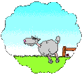 1187698769_SHEEP (120x120, 16Kb)