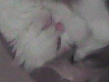  (160x120, 3Kb)