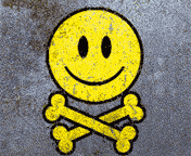 (176x144, 10Kb)