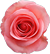  (50x54, 7Kb)