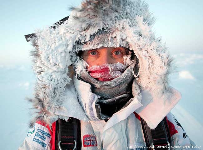 41595500_ArcticSurveyBARC_650x479.jpg