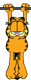  (31x80, 1Kb)