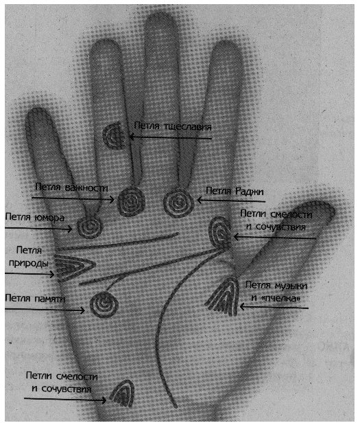 хиромантия петли на ладони