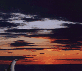  (160x140, 20Kb)