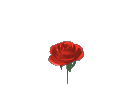 (133x100, 43Kb)